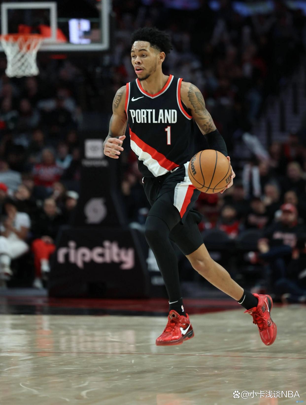 包含塔图姆新星比分优势明显表现惊艳，塞尔维亚队未来可期！的词条